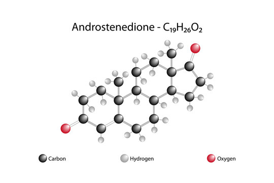 Molecular formula of androstenedione. Androstenedione is a weak androgen steroid hormone and is an intermediate in the biosynthesis of estrone and testosterone from dehydroepiandrosterone.