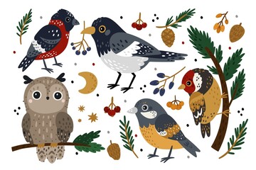 Cute winter birds set. Different types snowie birds. Bright bullfinch and magpie, little tit, goldfinch and owl with berries, fir twigs and cones. Cold season vector cartoon flat isolated set