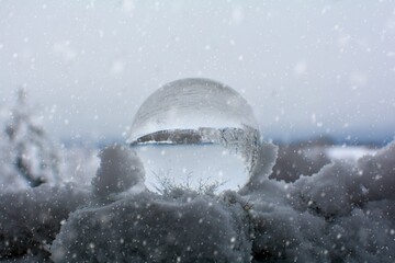 Glass ball in snow in the forest