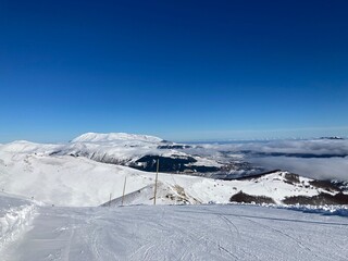 neve