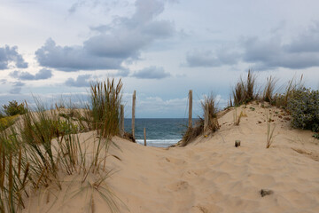 path leading through the dunes of Soulac sur Mer, Medoc, France to the beach of the Atlantic ocean