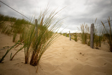 Obraz premium path leading through the dunes of Soulac sur Mer, Medoc, France to the beach of the Atlantic ocean