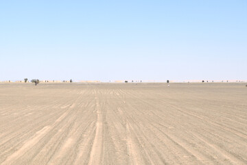 Fototapeta na wymiar Sahara Desert in Mauritania