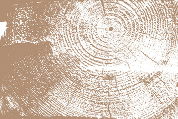 circular textured wooden  board  vector  background