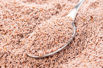 A full spoon of psyllium nutritional supplement. Dry Indian plantain seeds. Macro