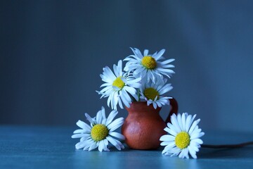 Background with white wildflowers - daisy bellis in the vase  Bellis perennis © ramona georgescu
