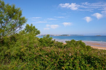 Fototapeta na wymiar The bay of Santander seen through abundant vegetation.