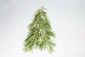 Creative festive Christmas tree made from rosemary. Natural holidays food concept. Seasonal styling. Greenery background. Copy space.