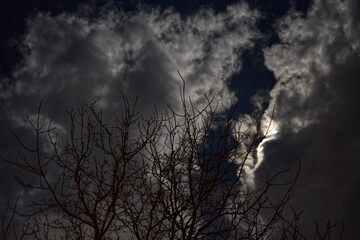 Clouds over the tree during full moon
