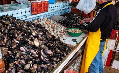Puesto de venta de frutos de mar en Puerto Mont, Chile.   Choros malton, almejas, choritos y piures