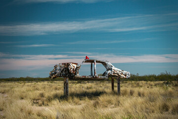 Auto destrozado por un choque. Ruta de la Muerte, la Pampa, Argentina. Espacio libre para agregar texto. Concepto prevención vial.