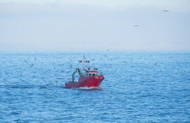 Fishing boat surrounded by seagulls in the sea, Euskadi