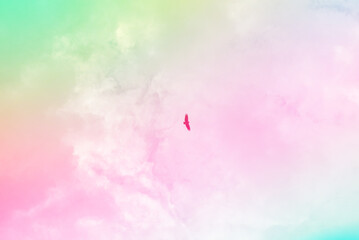 Amazing beautiful sky with clouds - With bird