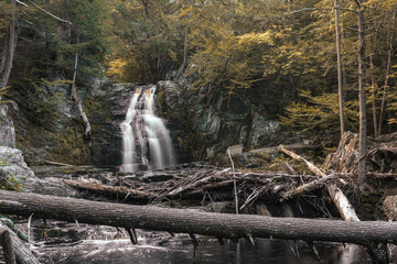 waterfall in the forest