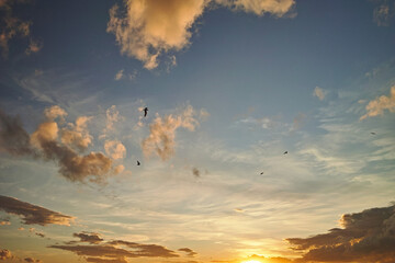 sunset in the clouds