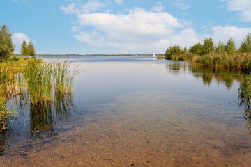 Naturparadies- Erholung am Cospudener See bei Leipzig