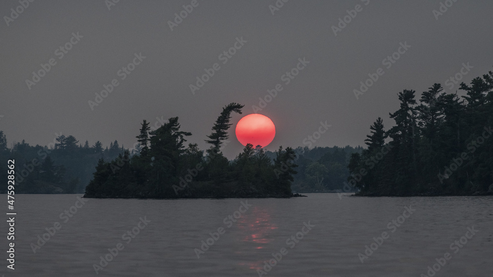 Poster Beautiful view of a lake, pine trees on the sunset sky background