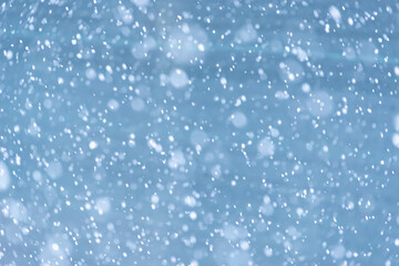 Daytime snowfall. Many white snowflakes.