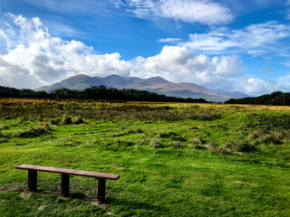 Green landscape and the wooden bench in the first national park in Ireland - Killarney National Park , near the town of Killarney, County Kerry