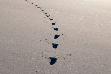 footprints in deep snow in winter