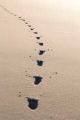 footprints in deep snow in winter