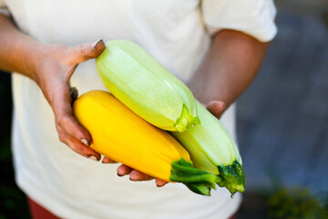 Woman farmer holding fresh organic yellow and green zucchinis in her hands. Vegetable harvest concept. Organic vegetables. Farming. Crop and organic. Love organic farming. Cultivation vegan produce