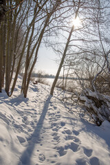 Winter landscape with snowy river shores with trees