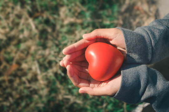 A hand holding red heart.She is Left / right hand holding it on green background.heart health,happy volunteer charity,The photo shows the principle of caring and good health.