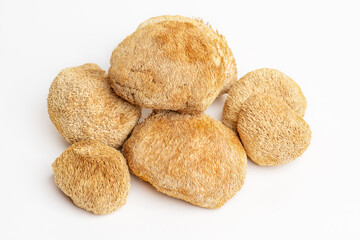 Dried Lion's Mane mushrooms or Hericium Erinaceus also called bearded tooth fungus, monkey head mushroom, yamabushitake.