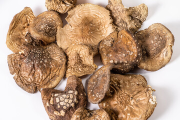 Dried Amanita pantherina or panther cap mushrooms top view on white background. Alternative herbal medicine and micro dosing therapy. - obrazy, fototapety, plakaty
