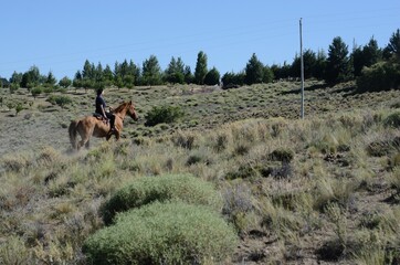 Patagonia Argentina