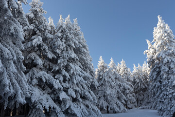 Winter landscape of Vitosha Mountain, Bulgaria
