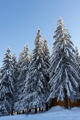 Winter landscape of Vitosha Mountain, Bulgaria