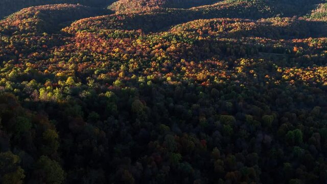 Drone Aerial of Fall Leaves in the Mountains at Sunset