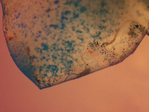 Abstract macro shot of small liquid particles on the orange background