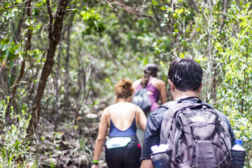 Naklejka na ściany i meble People hiking in the jungle