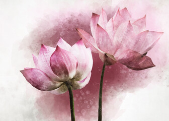 Watercolor painting of vibrant pink lotus flowers. Botanical art. Decorative element for a greeting card or wedding invitation