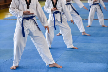 Taekwondo kids. Boys athletes in taekwondo uniforms with blue belts during a taekwondo tournament - obrazy, fototapety, plakaty
