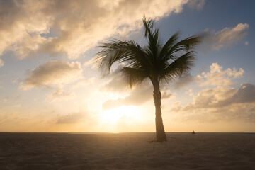A single palm tree along with a person in the distance silhouetted against the setting golden sun at Manchebo Beach in Aruba.