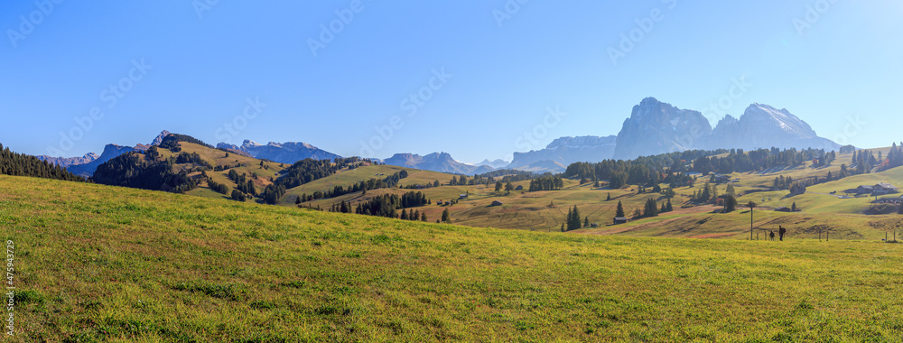 Poster panoramic shot of green fields and mountains