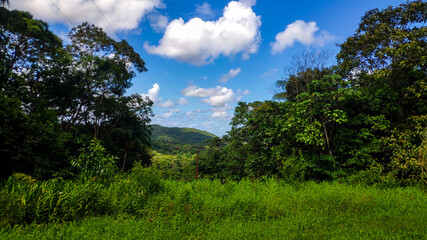 Fototapeta premium Sítio Images