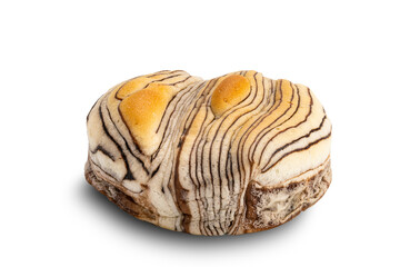 Closeup view of delicious homemade Chocolate Flavored Bread isolated on white background.