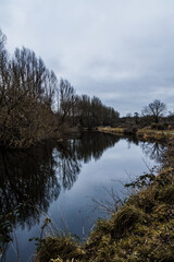 reflection of trees in water