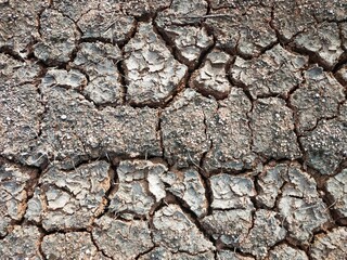 earth cracked soil