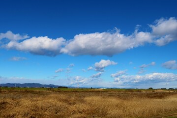 Obraz premium 河川から 風景 冬