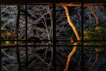 嵐山祐斎亭のリフレクション