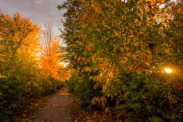 Fototapeta premium Colorful beautiful Autumn landscaping Ottawa Ontario Canada