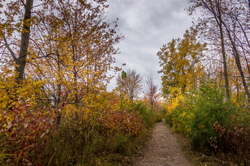 Colorful beautiful Autumn landscaping Ottawa Ontario Canada