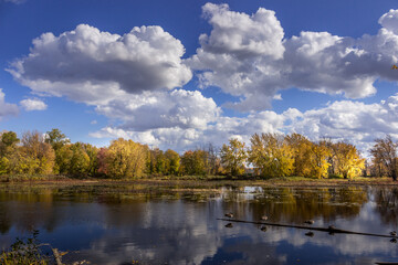 Fototapeta na wymiar Colourful beautiful Autumn landscaping on the lake