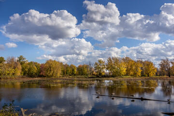 Colourful beautiful Autumn landscaping on the lake